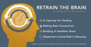 neuroplasticity and addiction recovery